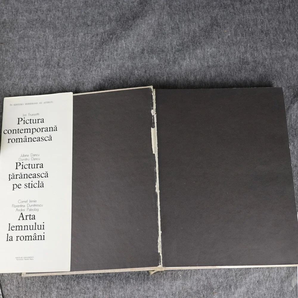 Vintage Pictura Românească În Imagini Drăguț Florea 1976 Romania Art Book HC DJ